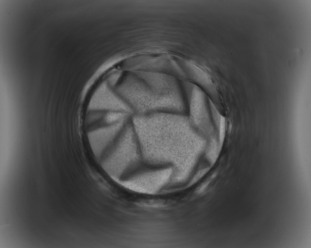 X0000082970244200703020240