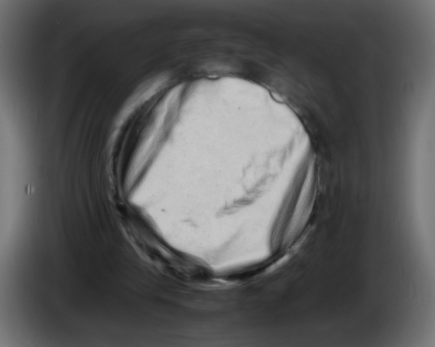 X0000082970245200703020240