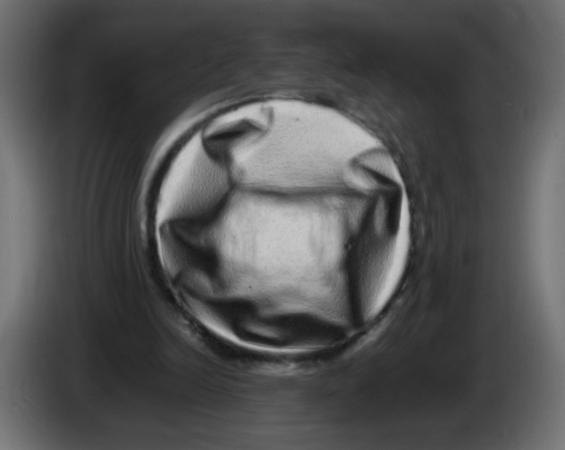 X0000082970246200703020240