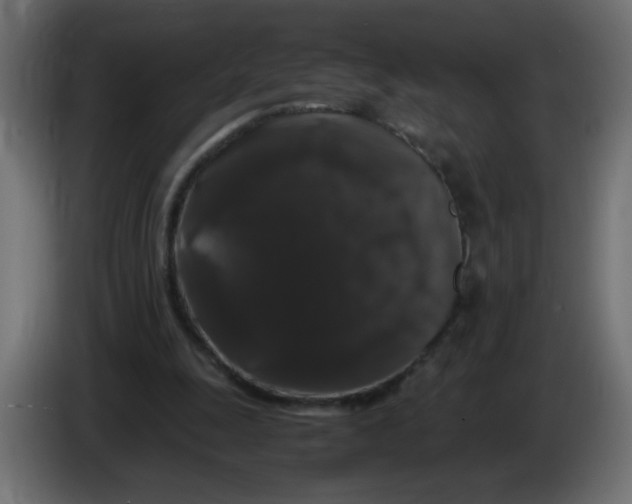 X0000082970247200703020240