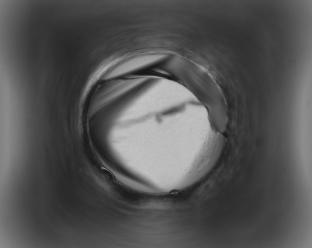 X0000082970248200703020240