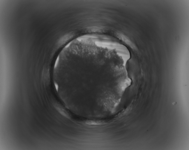 X0000082970250200703020240
