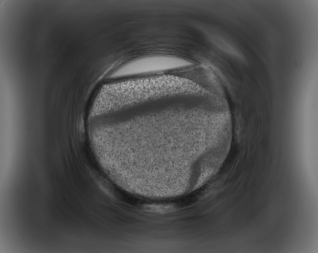 X0000082970251200703020240