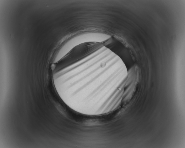X0000082970252200703020241