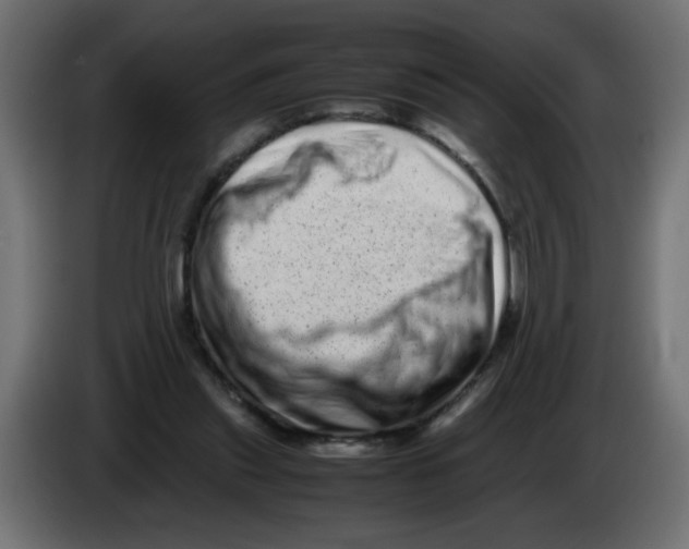 X0000082970253200703020241