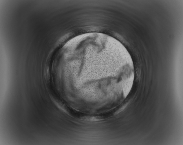 X0000082970254200703020241