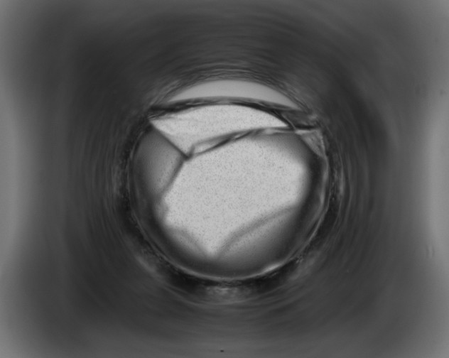 X0000082970255200703020241