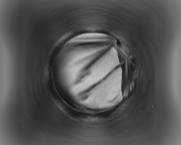 X0000082970256200703020241