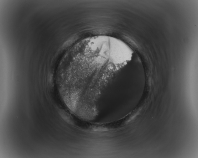 X0000082970258200703020241