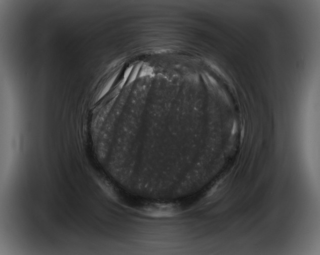 X0000082970260200703020241