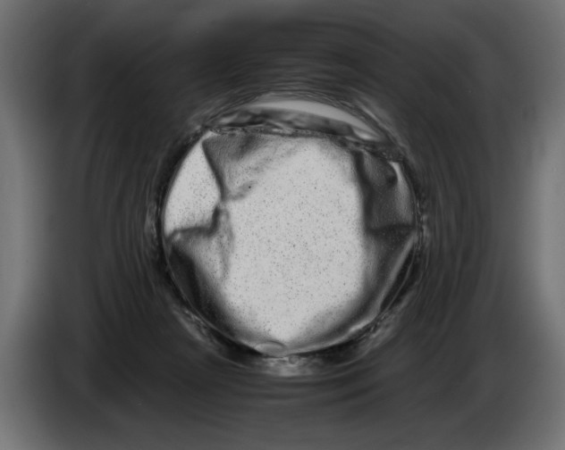 X0000082970265200703020241