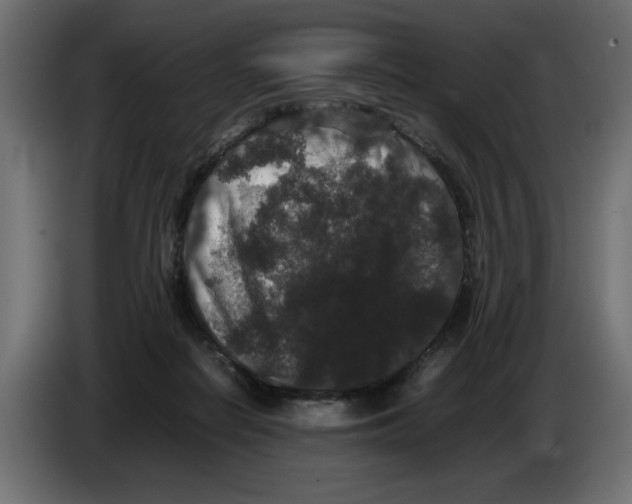 X0000082970266200703020241