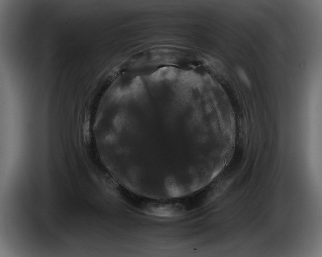 X0000082970267200703020241
