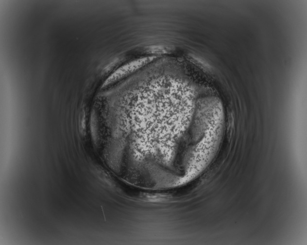 X0000082970268200703020241