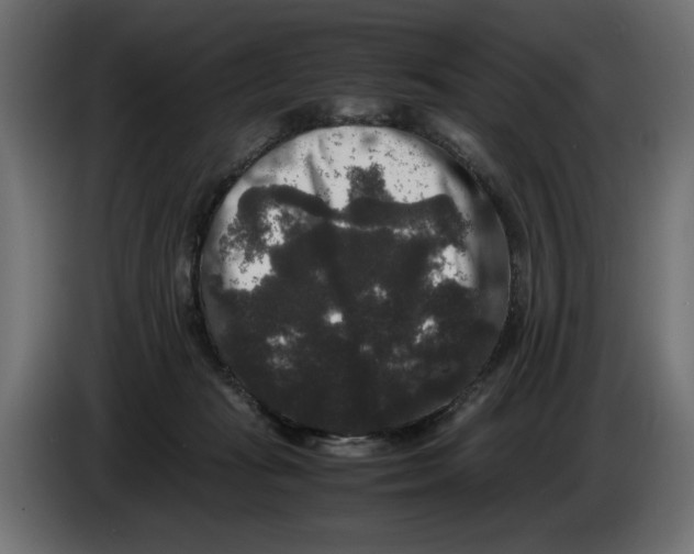 X0000082970269200703020241