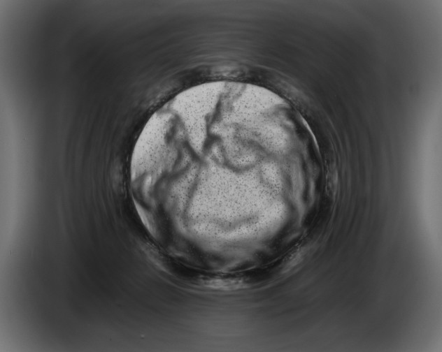 X0000082970270200703020241