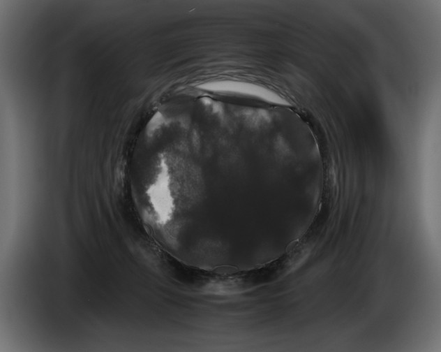 X0000082970271200703020241