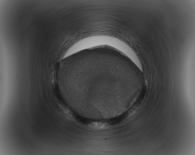 X0000082970272200703020241