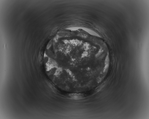 X0000082970273200703020241