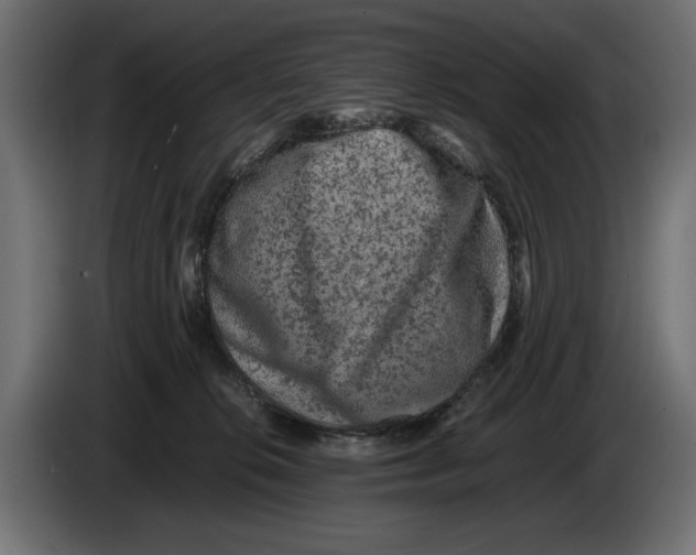 X0000082970276200703020241