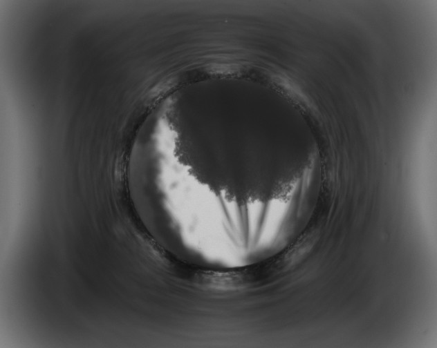 X0000082970277200703020241