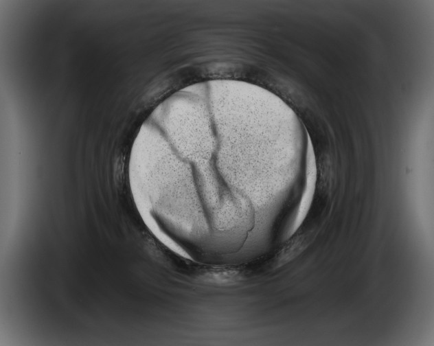 X0000082970278200703020241