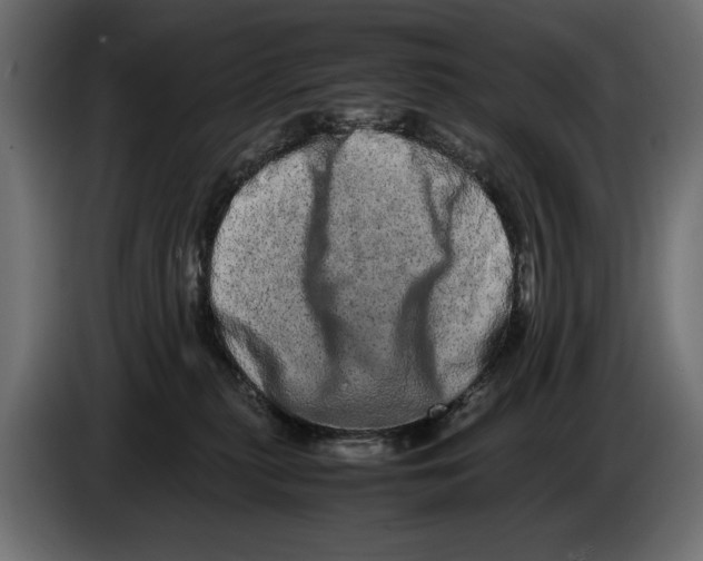X0000082970279200703020241