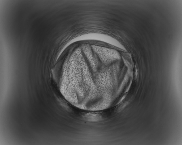 X0000082970280200703020241