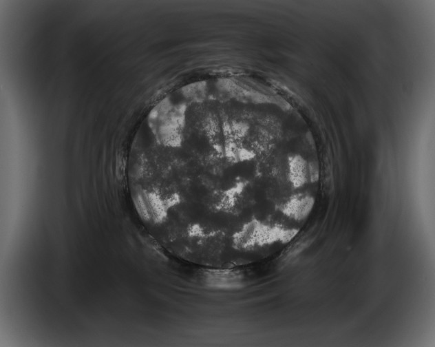 X0000082970281200703020241