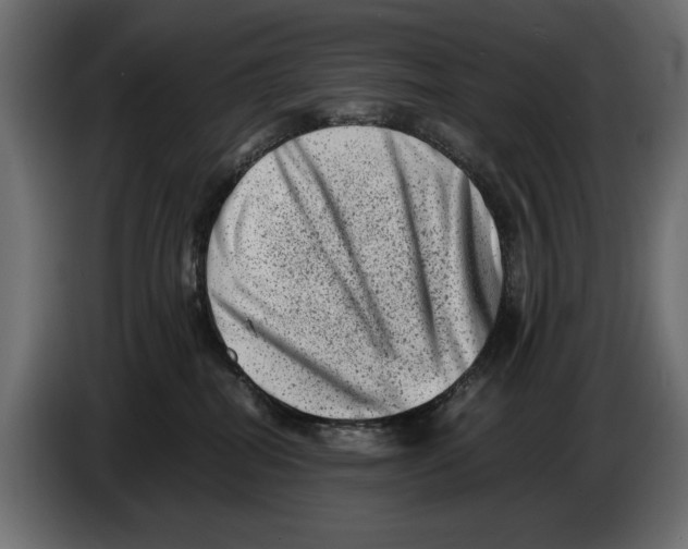 X0000082970282200703020241