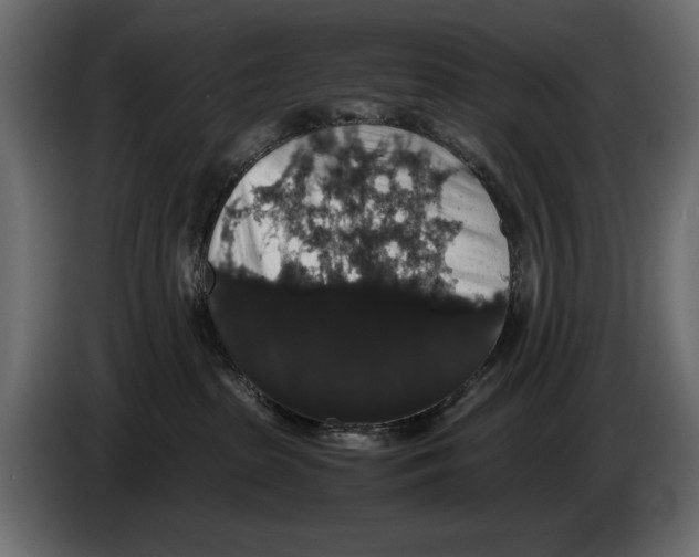 X0000082970285200703020241