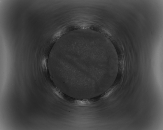 X0000082970286200703020241