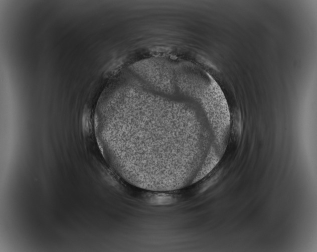 X0000082970287200703020241
