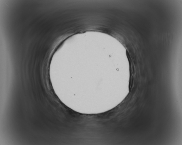 X0000082970289200703020240