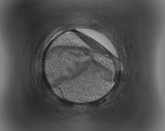 X0000082970291200703020240