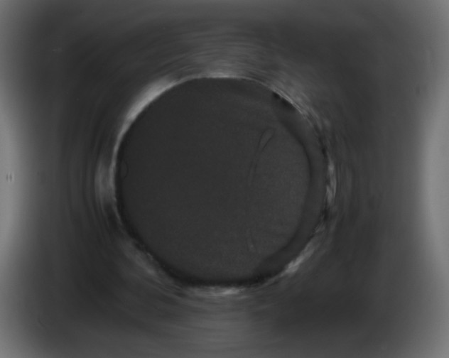 X0000082970292200703020240