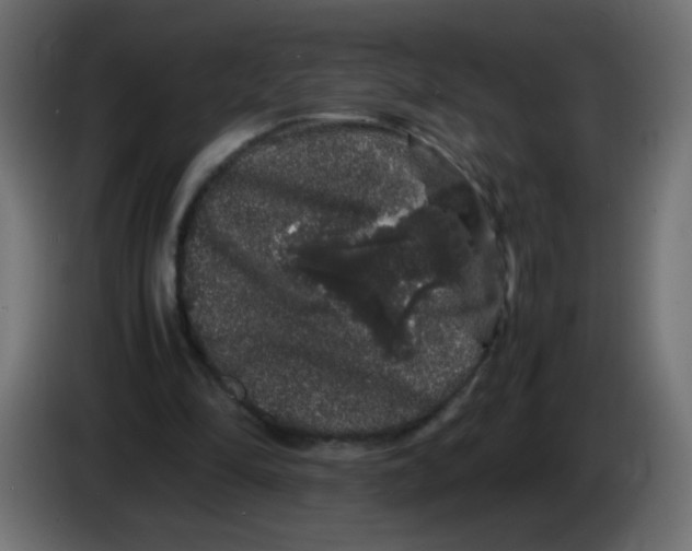 X0000082970294200703020240