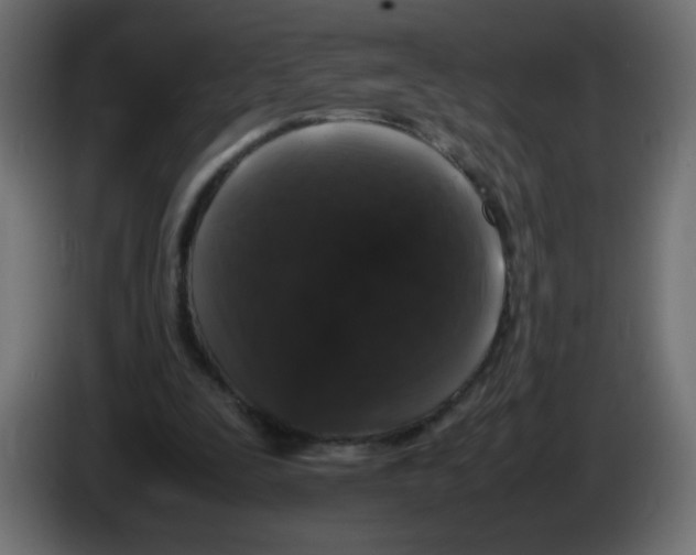 X0000082970295200703020240