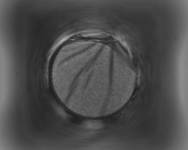 X0000082970296200703020240