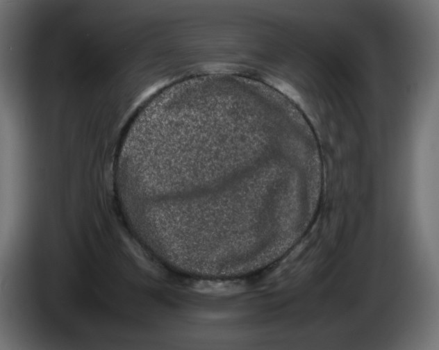 X0000082970297200703020240
