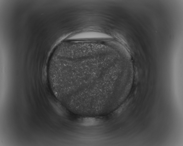 X0000082970298200703020240