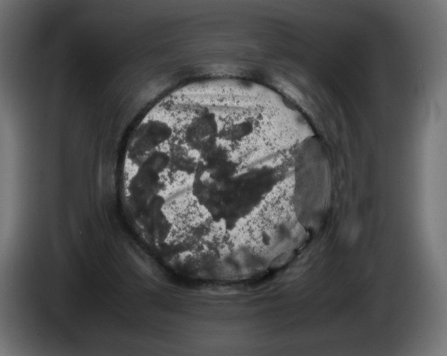 X0000082970299200703020240