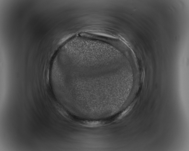 X0000082970301200703020240