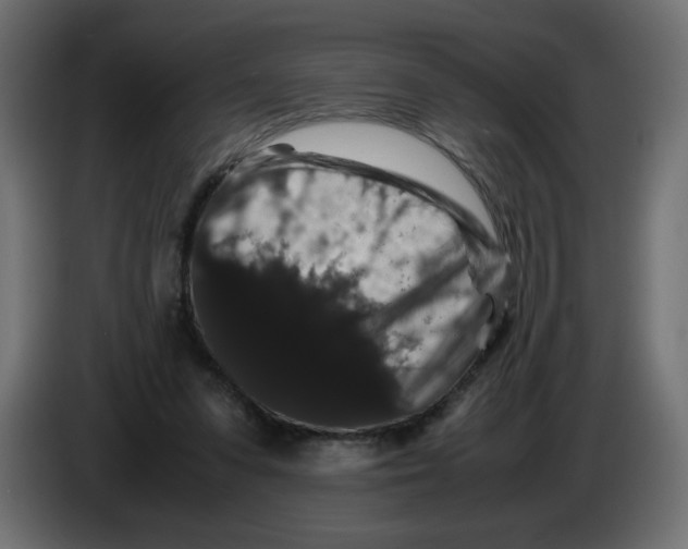 X0000082970303200703020240