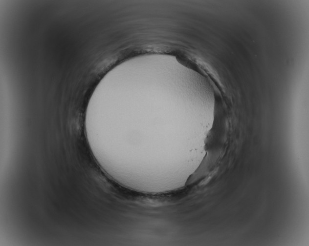 X0000082970305200703020240