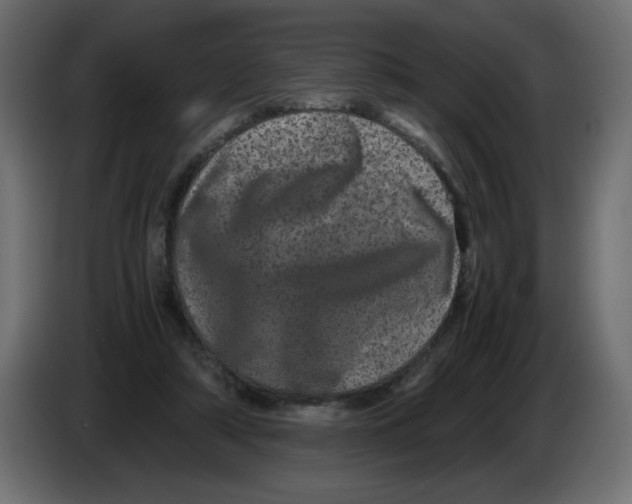 X0000082970306200703020240