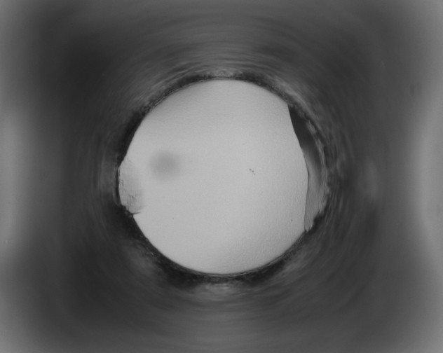 X0000082970307200703020240