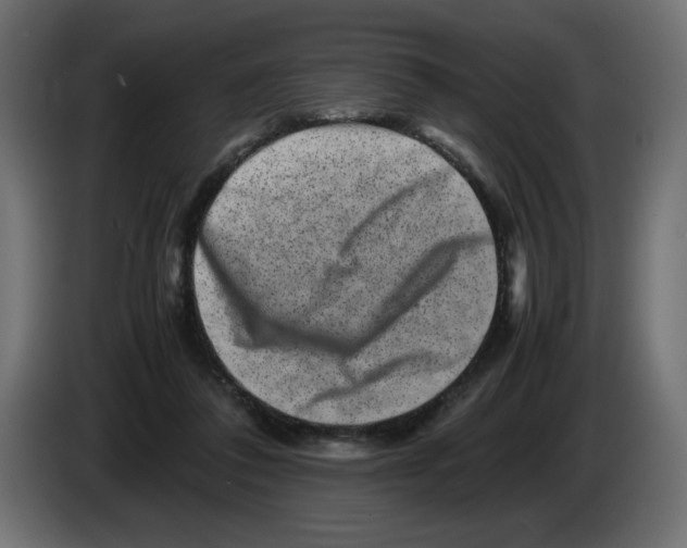 X0000082970308200703020240