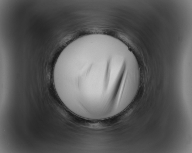 X0000082970309200703020240