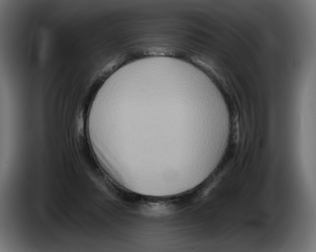 X0000082970310200703020240